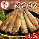 【ふるさと納税】 【訳あり】パクっとメヒカリ 約1.5kg めひかり 訳あり 目光 海鮮 魚 大容量 おかず 惣菜 魚介 焼魚 魚貝 フライ おつまみ 弁当 ギフト 長期保存 小分け 便利 お取り寄せ BBQ 送料無料 冷凍 銚子港 水揚げ ふるさと納税 千葉県 銚子市 銚子 大一奈村魚問屋