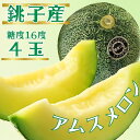 【ふるさと納税】 銚子産 アムスメロン 4玉(1玉約1.45〜1.7kg未満) メロン 糖度16度 青肉 果物 フルーツ ギフト プレゼント 贈答 贈り物 お取...