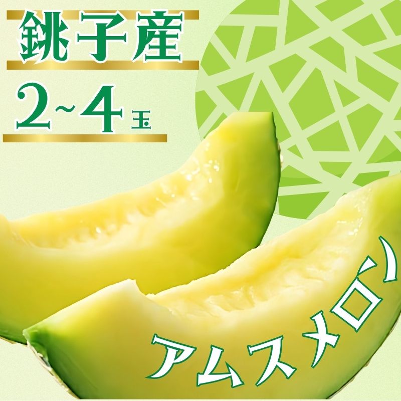 銚子産 アムスメロン [選べる容量]2玉 〜4玉 メロン 青肉 果物 とろ甘16 高糖度 フルーツ ギフト プレゼント 贈答 お取り寄せ デザート ゼリー ジュース 期間限定 ふるさと納税 送料無料 千葉県 銚子市 弥兵衛 [6月下旬〜7月中旬発送]