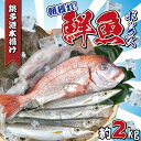 【ふるさと納税】 鮮魚ボックス おためしBOX 2kg 銚子港 水揚げ 産地直送 鮮魚セット 鮮魚詰め合わせ ヒラメ のどくろ ホウボウ メヒカリ イカ エビ ...