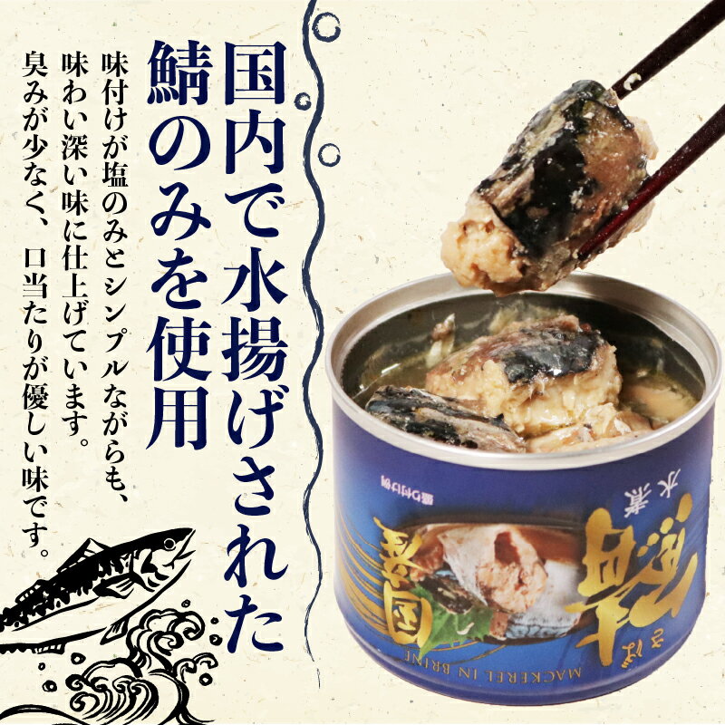【ふるさと納税】 国産サバ水煮12缶 190g×12缶 さば 鯖 水煮 さば水煮 鯖水煮 缶詰 魚 海鮮 魚介 魚介類 保存食 非常食 防災 災害 食料 キャンプ 常温 長期保管 缶詰セット 贈答 ギフト 備蓄 おかず おつまみ 惣菜 ご飯 青魚 健康 美容 送料無料 千葉県 銚子市 信田缶詰