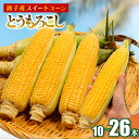 【ふるさと納税】 とうもろこし 【選べる容量】 10〜26本 数量限定 期間限定 産地直送 鮮度抜群 大容量 旬の野菜 旬の味覚 甘い トウモロコシ イエローコ...