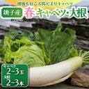 【ふるさと納税】 先行予約 春キャベツ 2~3玉 大根 2~3本 セット 数量限定 期間限定 大容量 旬の野菜 旬の味覚 春の風物詩 甘い キャベツ 贈答 プレゼント 贈り物 ギフト グルメ 発送時期 2026年4月~(なくなり次第終了) ふるさと納税 送料無料 千葉県 銚子市 小野商店