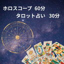 【ふるさと納税】 ホロスコープ60分+タロット占い30分 鑑定予約 90分 体験 太陽星座 月星座 アセンダント 金星 天体 運命 当たる 人気 占い師予約 おすすめ 対面 恋愛 相性 仕事 運勢 人間関係 結婚 個人鑑定 悩み ふるさと納税占い 千葉県銚子市 銚子 sumaile anjero