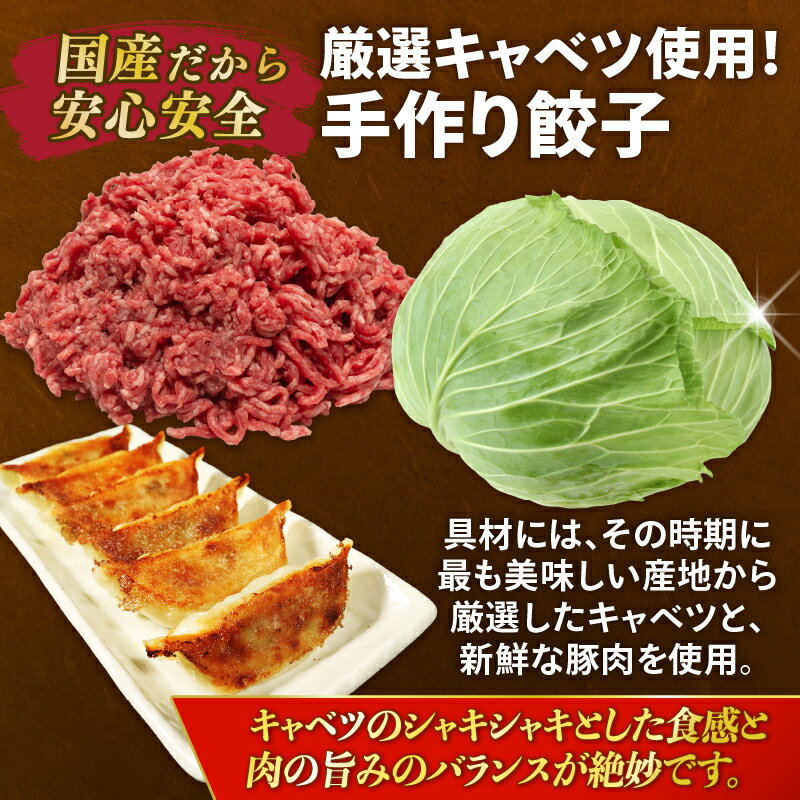 【ふるさと納税】 餃子 50個 ぎょうざ 10個 × 5パック 手作り 手造り グルメ 大容...