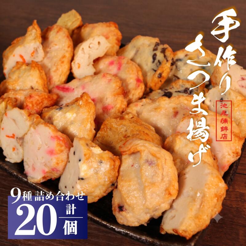 さつま揚げ セット 計20個 いろどり9種 かまぼこ 蒲鉾 練り物 おでん 具材 おつまみ ギフト 老舗 魚肉 魚介 お惣菜 アソート 家庭用 贈答用 おかず 手作り 魚 銚子市 すり身 さつま揚げ詰め合わせ ふるさと納税練り物 ふるさと納税 千葉県銚子市 池永蒲鉾店