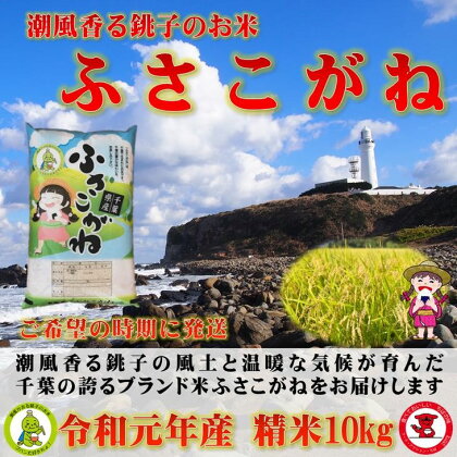 【令和元年産新米】銚子産ふさこがね10kg(5kg×2)潮風香る銚子産の希少な美味しいお米【お米マイスター厳選】【ご希望時期に発送】※令和元年9月後半〜令和2年9月初旬順次発送予定