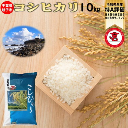 【特A評価・令和元年産】千葉県産コシヒカリ10kg(5kg×2)【お米マイスター厳選】【ご希望時期に発送】※令和元年9月後半〜令和2年9月初旬頃順次発送予定