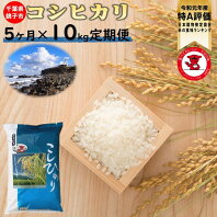 【ふるさと納税】【定期便】千葉県産コシヒカリ10kg 5ヶ月定期便【お米マイスター厳選】【ご希望時期に発送】