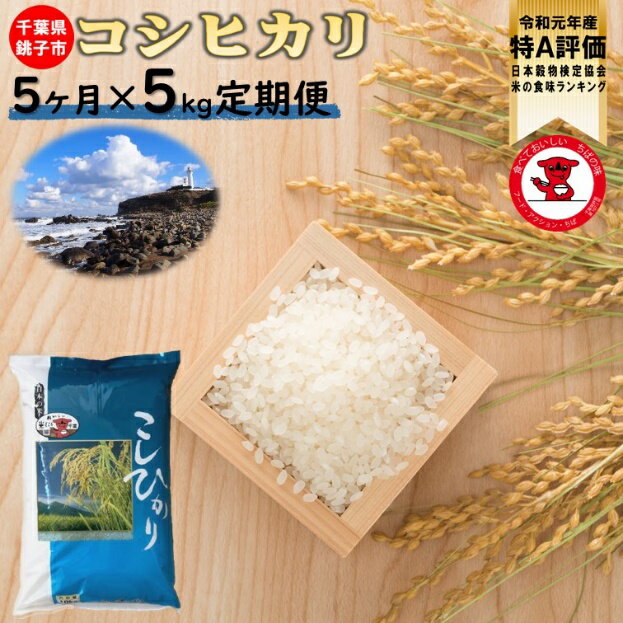 【ふるさと納税】【特A評価・令和元年産】千葉県産コシヒカリ5kg 5ヶ月定期便　【お米マイスター厳選】【ご希望時期に発送】