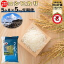 【ふるさと納税】【特A評価・令和元年産】千葉県産コシヒカリ5...