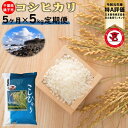 【ふるさと納税】【特A評価・令和元年産】千葉県産コシヒカリ5kg 5ヶ月定期便　【お米マイスター厳選】【ご希望時期に発送】