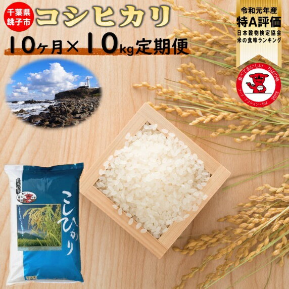 【ふるさと納税】【特A評価・令和元年産】　千葉県産コシヒカリ10kg 10ヶ月定期便　【お米マイスター厳選】【ご希望時期に発送】