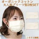 【ふるさと納税】オーガニックコットン布マスク プリーツ型大人用2枚セット