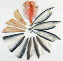 【ふるさと納税】訳あり詰合せ(干物、骨取魚、味付け魚)