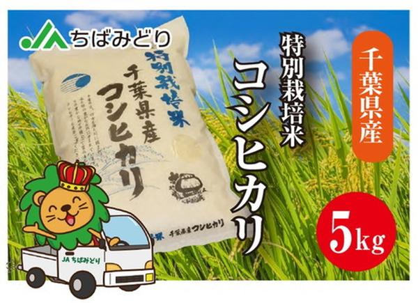 【ふるさと納税】特別栽培米　千葉県産コシヒカリ5kg ※北海道・沖縄・離島への配送不...