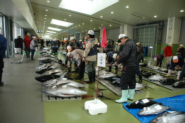 【ふるさと納税】銚子港水揚げ　生メバチマグロ(刺身用サク)300グラム程度 　※沖縄県、離島への発送不可　※発送日・曜日指定不可