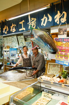 【ふるさと納税】銚子港水揚げ　生メバチマグロ(刺身用サク)500グラム 約4〜5人前　※沖縄県、離島への発送不可　※発送日・曜日指定不可