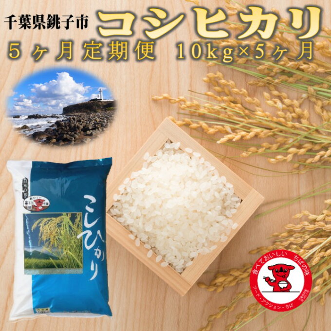 【ふるさと納税】【定期便】【令和元年産新米】千葉県産コシヒカリ10kg 5ヶ月定期便...