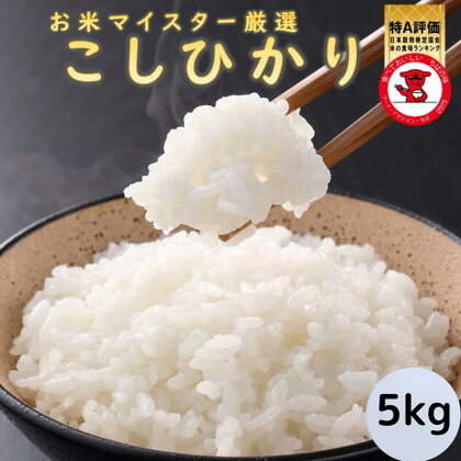 千葉県産コシヒカリ5kg 【お米マイスター厳選】