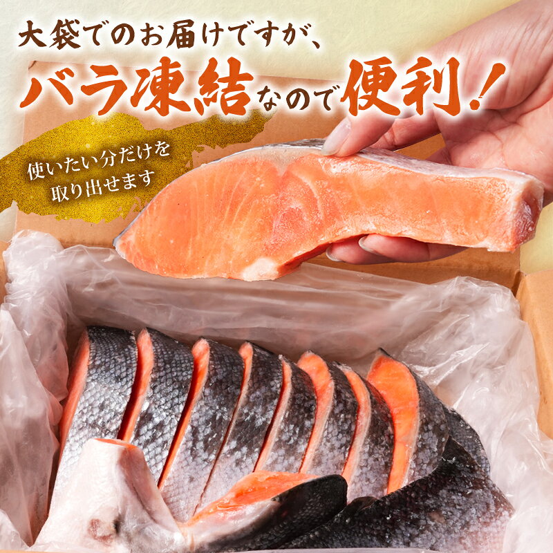 【ふるさと納税】 訳あり 厚切り 銀鮭 切身 1kg 1.5kg 本漬け 甘口 肉 厚 鮭 しゃけ 塩鮭 さけ サーモン 切り身 定塩 熟成 おすすめ 訳アリ わけあり 規格外 不揃い カマ 尾 ハラス ふるさと納税 ふるさと納税鮭 送料無料 千葉県 銚子市 トライデントシーフード・ジャパン f122025-choshi-10002399 千葉県銚子市 サンプル画像3