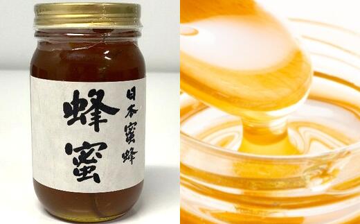 【ふるさと納税】日本蜜蜂 はちみつ 300g【12203-0079】