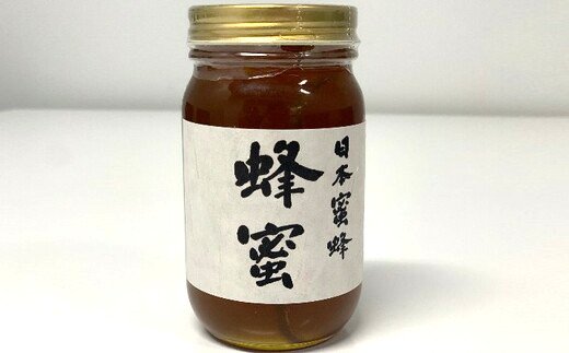 【ふるさと納税】日本蜜蜂　はちみつ　300g【12203-0079】