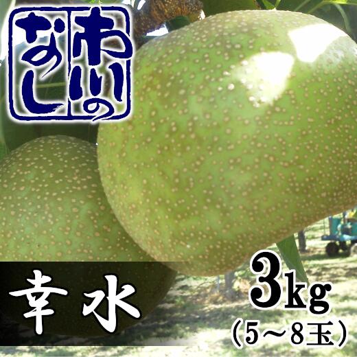 【ふるさと納税】市川の梨　幸水　3kg（5～8個入り）　【1