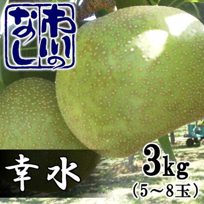 市川の梨　幸水　3kg（5～8個入り）　【12203-0122】