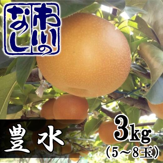 市川の梨 豊水 3kg(5〜8個入り) [12203-0124]