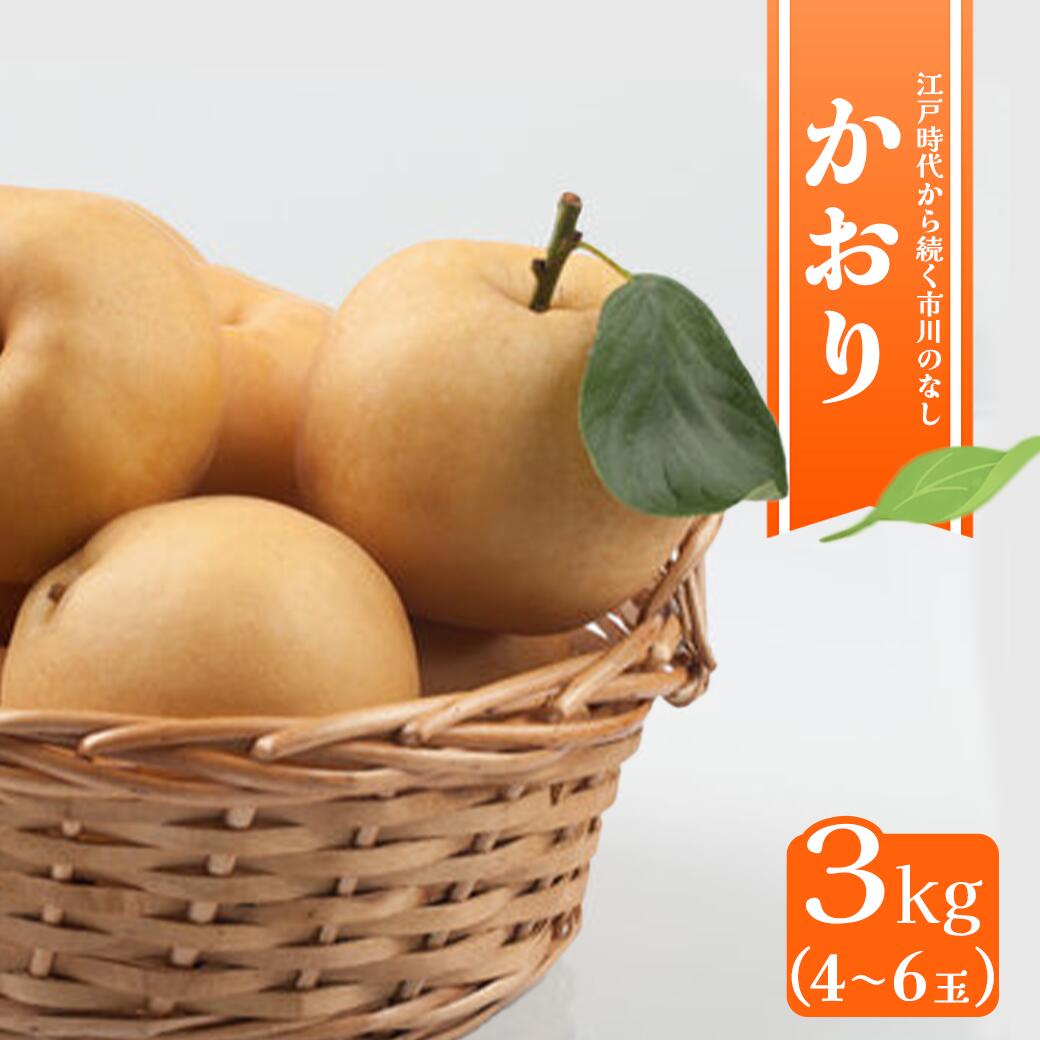 【ふるさと納税】市川の梨　かおり3キロ(4～6個入り）　【12203-0200】のサムネイル