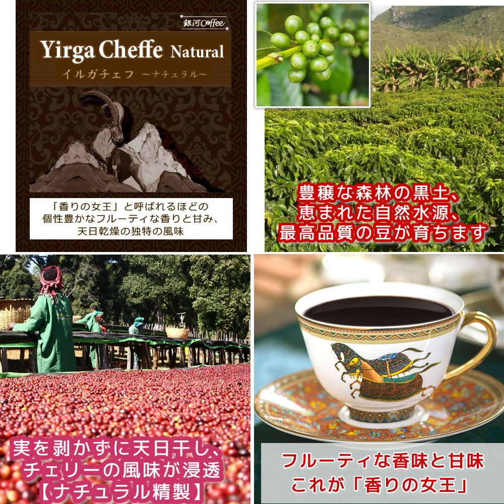 【ふるさと納税】世界の高級コーヒー（粉 中挽）100g×4種 銀河コーヒー【12203-0101】