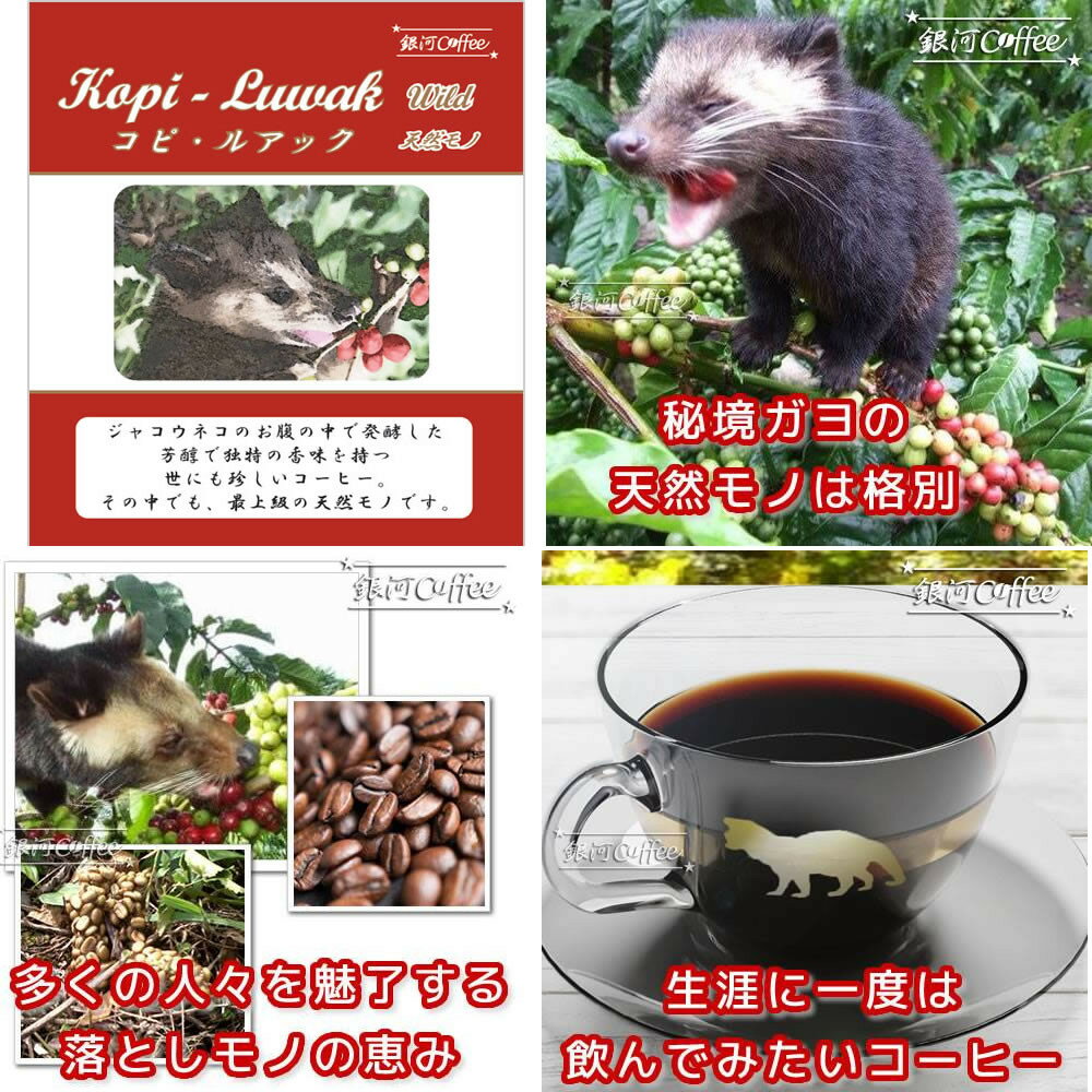 【ふるさと納税】生涯で飲みたい 世界3大珈琲(豆のまま)100g×3種 銀河コーヒー【12203-0103】