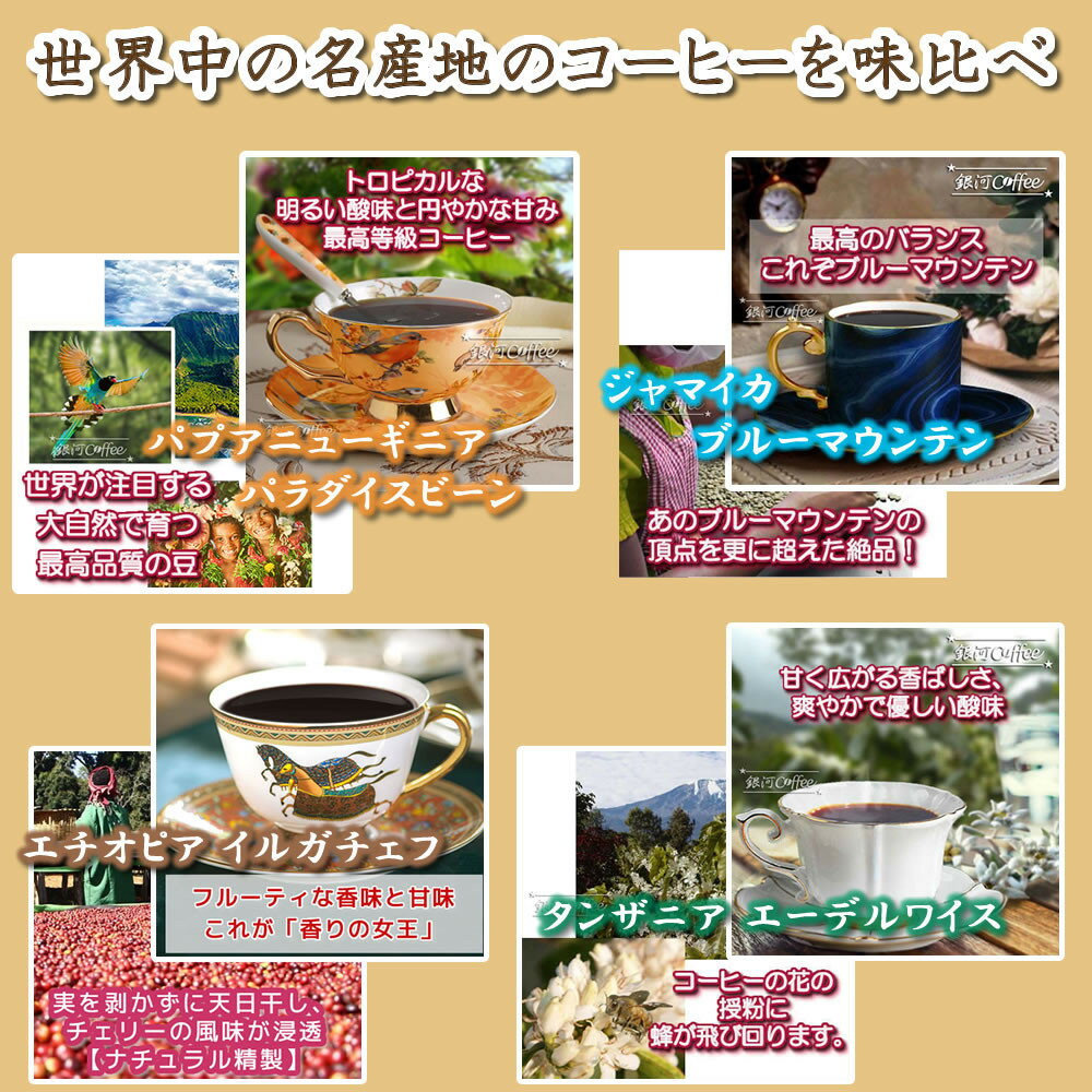 【ふるさと納税】定期便6回 世界一周 高級珈琲（豆のまま） 銀河コーヒー 【12203-0106】