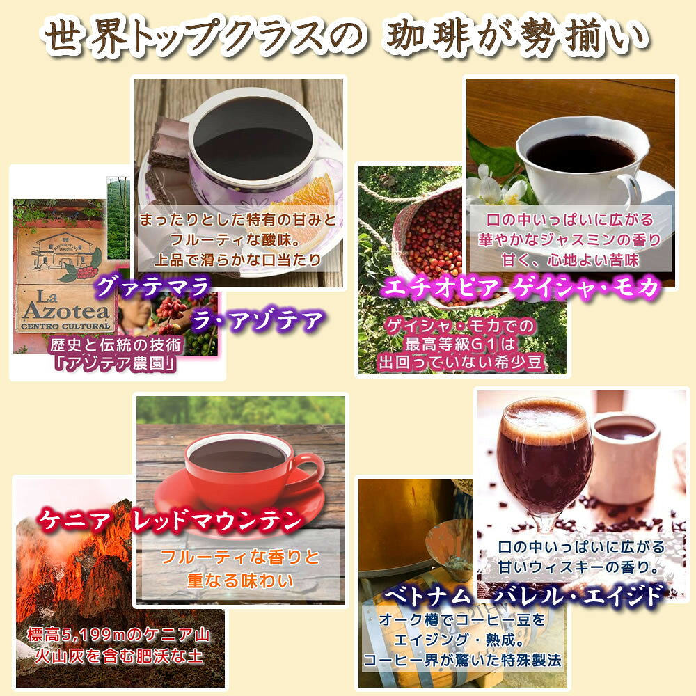 【ふるさと納税】定期便6回 世界一周 高級珈琲（豆のまま） 銀河コーヒー 【12203-0106】 f122033-ichikawa-10000070 千葉県市川市 サンプル画像3
