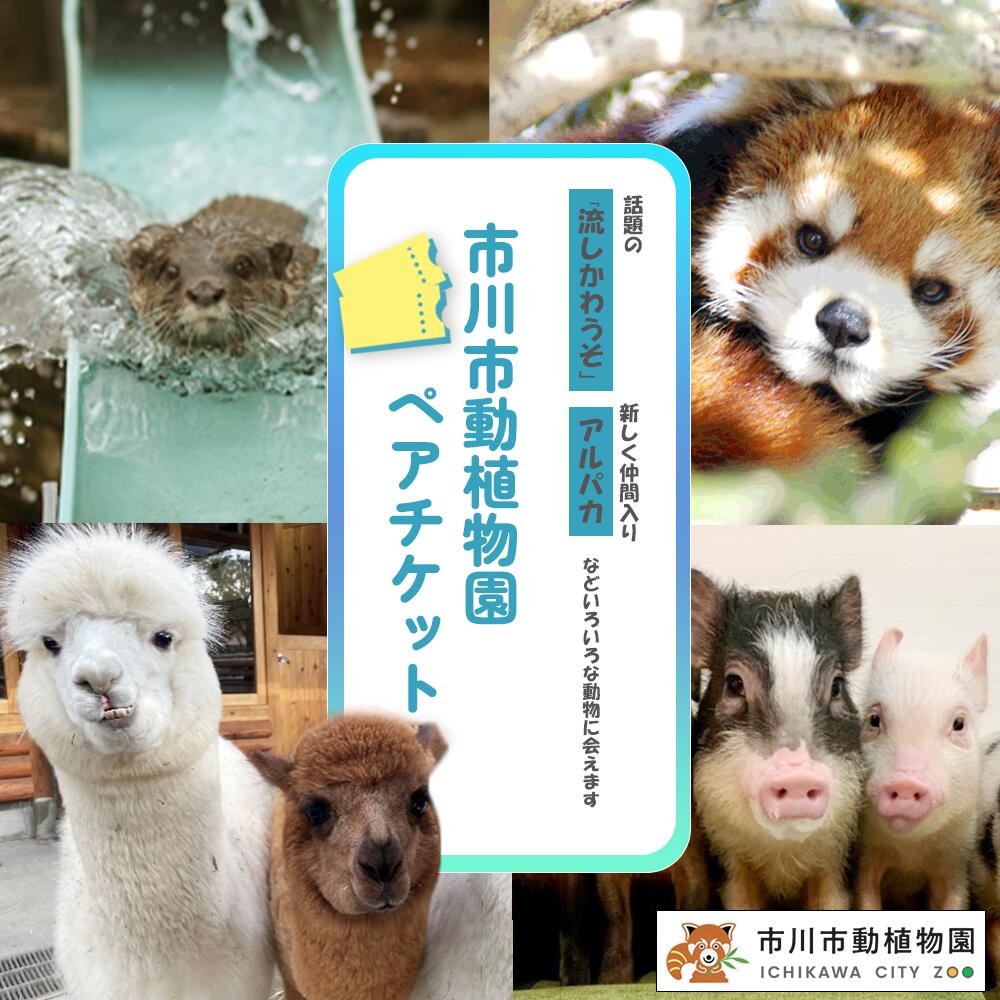 市川市動植物園ペアチケット 体験 施設利用券 入場券 レジャー 動物 アニマル 千葉県 市川市 送料無料 [12203-0195]