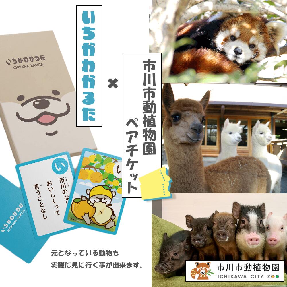 【ふるさと納税】いちかわかるた＆市川市動植物園ペアチケット 体験 施設利用券 入場券 レジャー 動物 アニマル ご当地 かるた 千葉県 市川市 送料無料　【12203-0196】