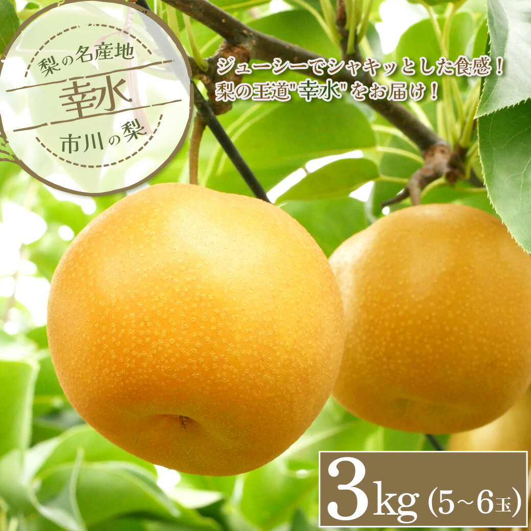 【ふるさと納税】市川の梨 幸水 3kg(5~6玉) 【12203-0260】