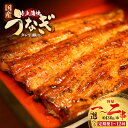 【ふるさと納税】【お届け回数・内容量が選べる!】うなぎ特上蒲焼 1串(130g前後) 1~12回お届け 老舗 ギフト 冷凍 うなぎ 鰻 ウナギ かばやき 串 タ...