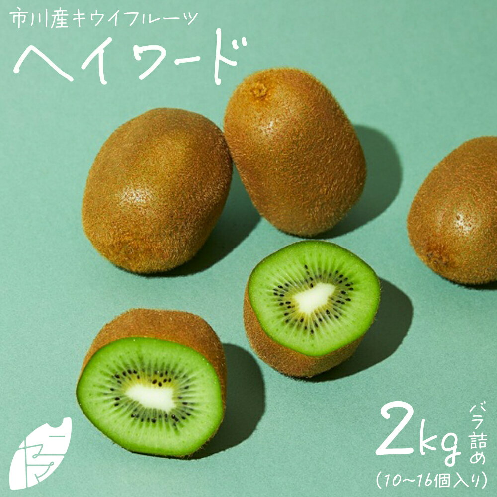 【ふるさと納税】市川産キウイフルーツ（ヘイワード）バラ詰め【12203-0400】果物 くだもの フルーツ キウイ ヘイワード 甘い 市川市 12月発送