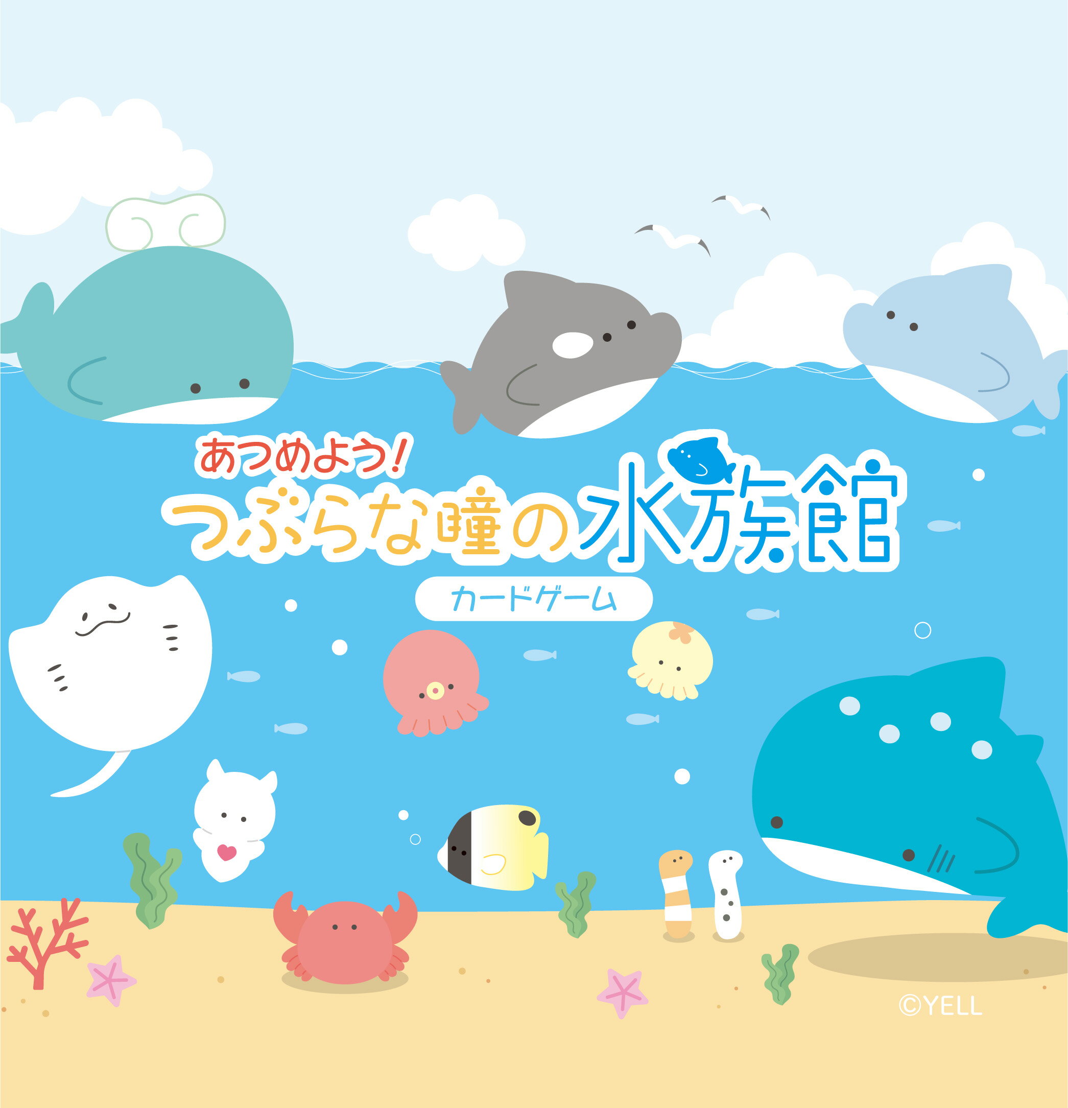 【ふるさと納税】あつめよう！つぶらな瞳の水族館カードゲーム　【12203-0416】 カード ゲーム 5歳から遊べる 小学生 子供 大人 トリックテイキング ロードトゥロード ひらめき 千葉県 市川市 ラディアスリー