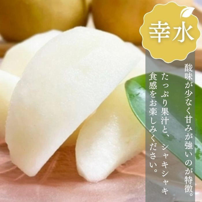 【ふるさと納税】先行予約 残りわずか 梨 なし 船橋のなし 幸水 豊水 秋麗 5kg おすすめ 千葉県 2025年発送 ※お届け日指定不可 い志い農園