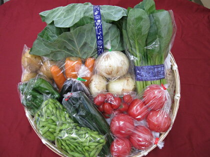 【令和6年5月下旬より配送開始】船橋産 夏野菜の詰合せ 枝豆 小松菜 キュウリ トマト 国産 ※お届け日指定不可