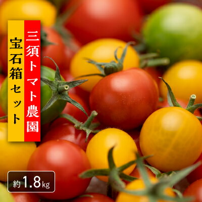 [期間限定(発送可能時期は11月〜6月)]三須トマト農園 トマトの宝石箱 1.8kg 国産 ※お届け日指定不可