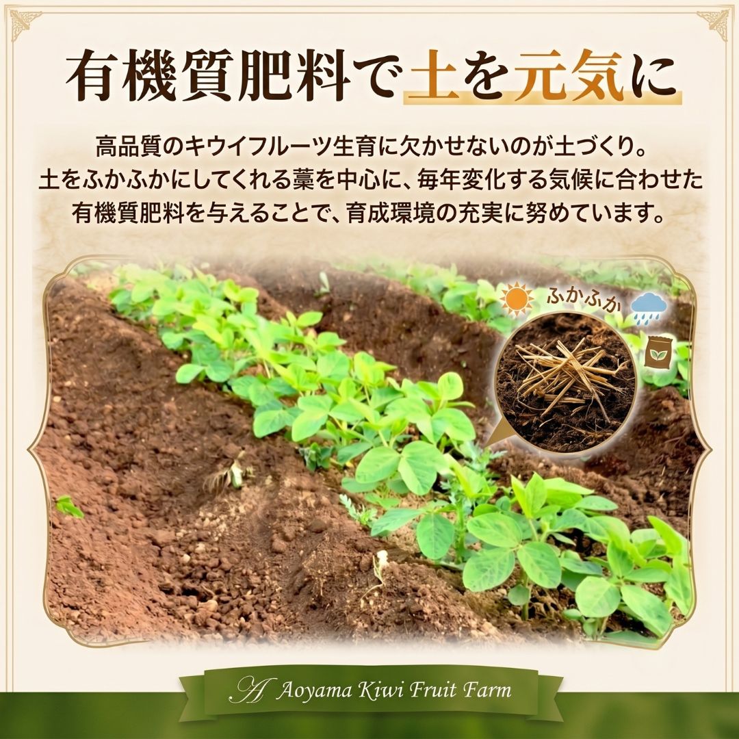 【ふるさと納税】キウイ ヘイワード キウイフルーツ 約 700g ~ 2kg 選べる サイズ 発送時期 化粧箱 化粧袋付き 青山キウイフルーツ農園 国産 ビタミンC 果物 フルーツ 先行予約 f122041-funabashi-10000669 千葉県船橋市 サンプル画像3