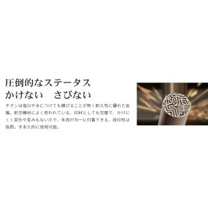 【ふるさと納税】【錆びない、変形しない】ブラスト銀チタン印鑑15.0ミリ 印鑑ケース付き【実印】