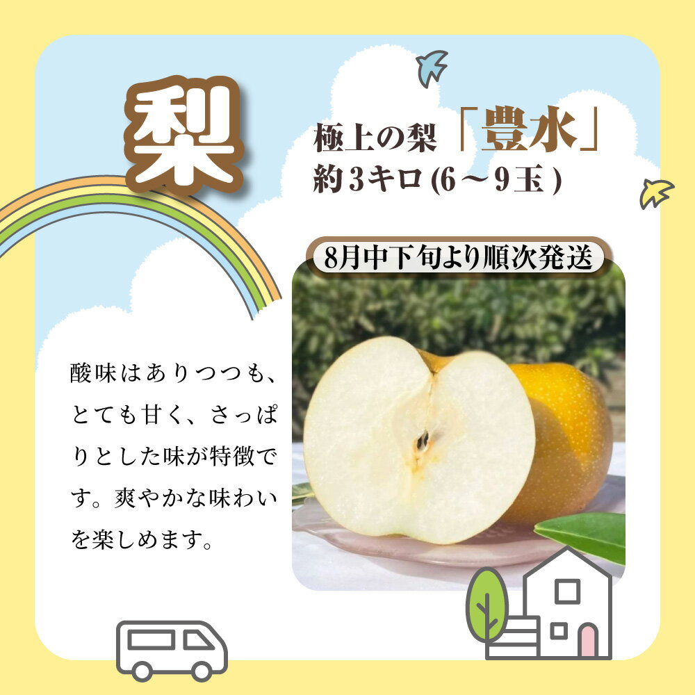 【ふるさと納税】船橋産フルーツ定期便（5品目）　キウイ イチゴ 梨 豊水 シャインマスカット パッションフルーツ 旬の時期に発送