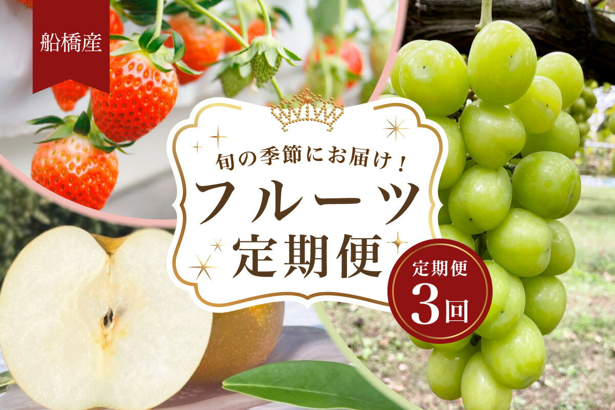 22位! 口コミ数「0件」評価「0」【期間限定1月以降順次発送】船橋産フルーツ定期便（3品目）　梨　新興　シャインマスカット　イチゴ