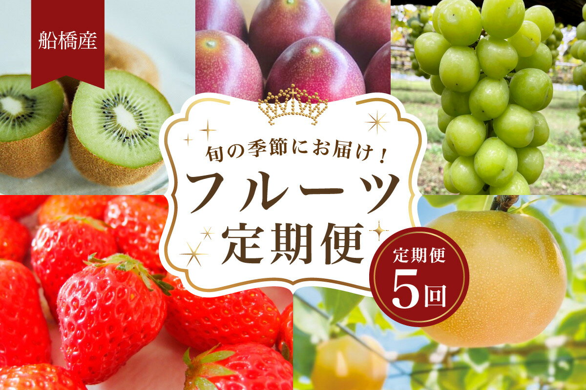 12位! 口コミ数「0件」評価「0」【期間限定11月以降順次発送】船橋産フルーツ定期便（5品目）　梨　幸水　パッションフルーツ　シャインマスカット　キウイ　イチゴ