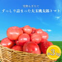 【ふるさと納税】ずっしり詰まった極上トマト3kg